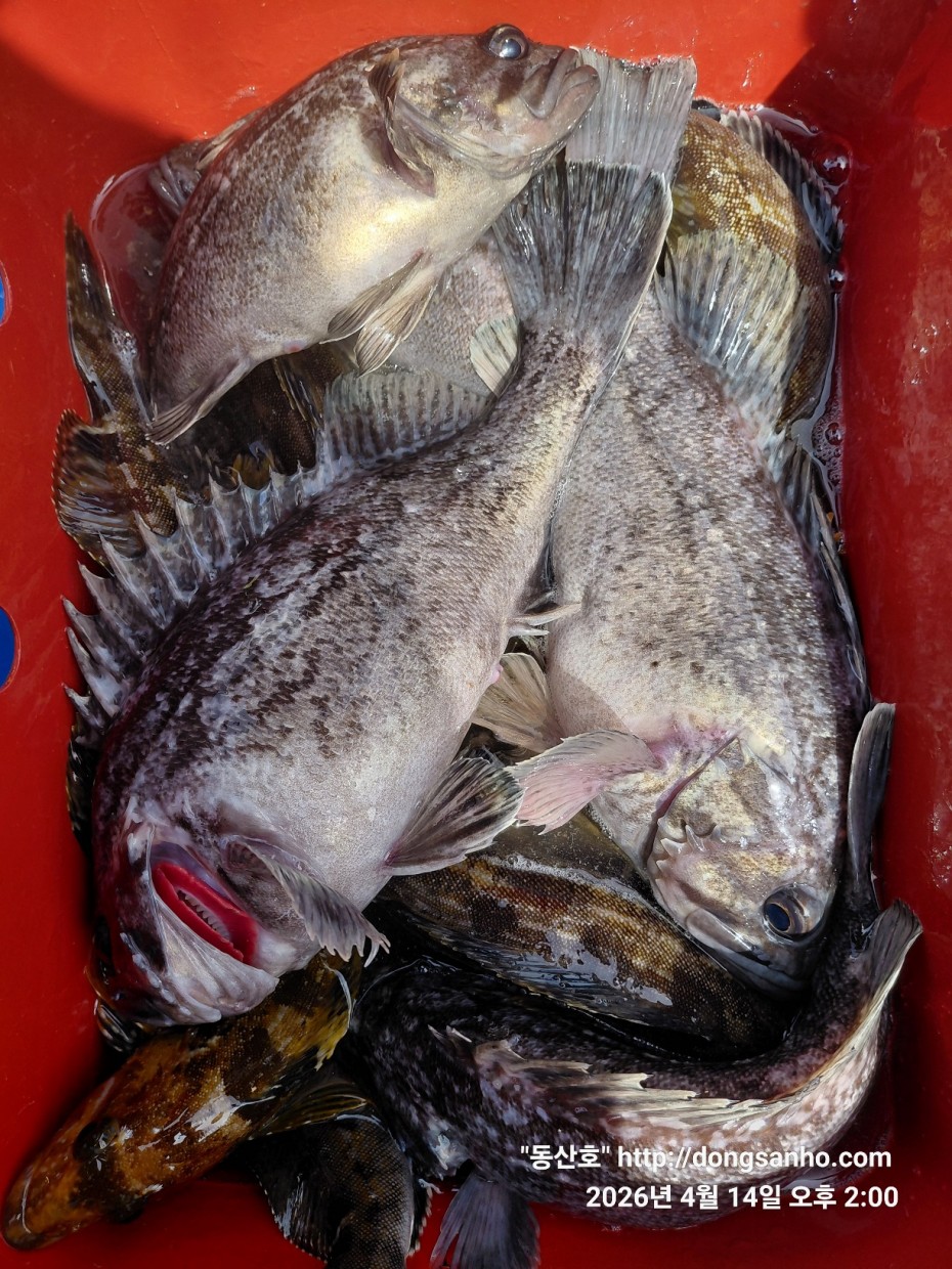 1fc0c478f22af6d4e5fb830470848fe2_1776756