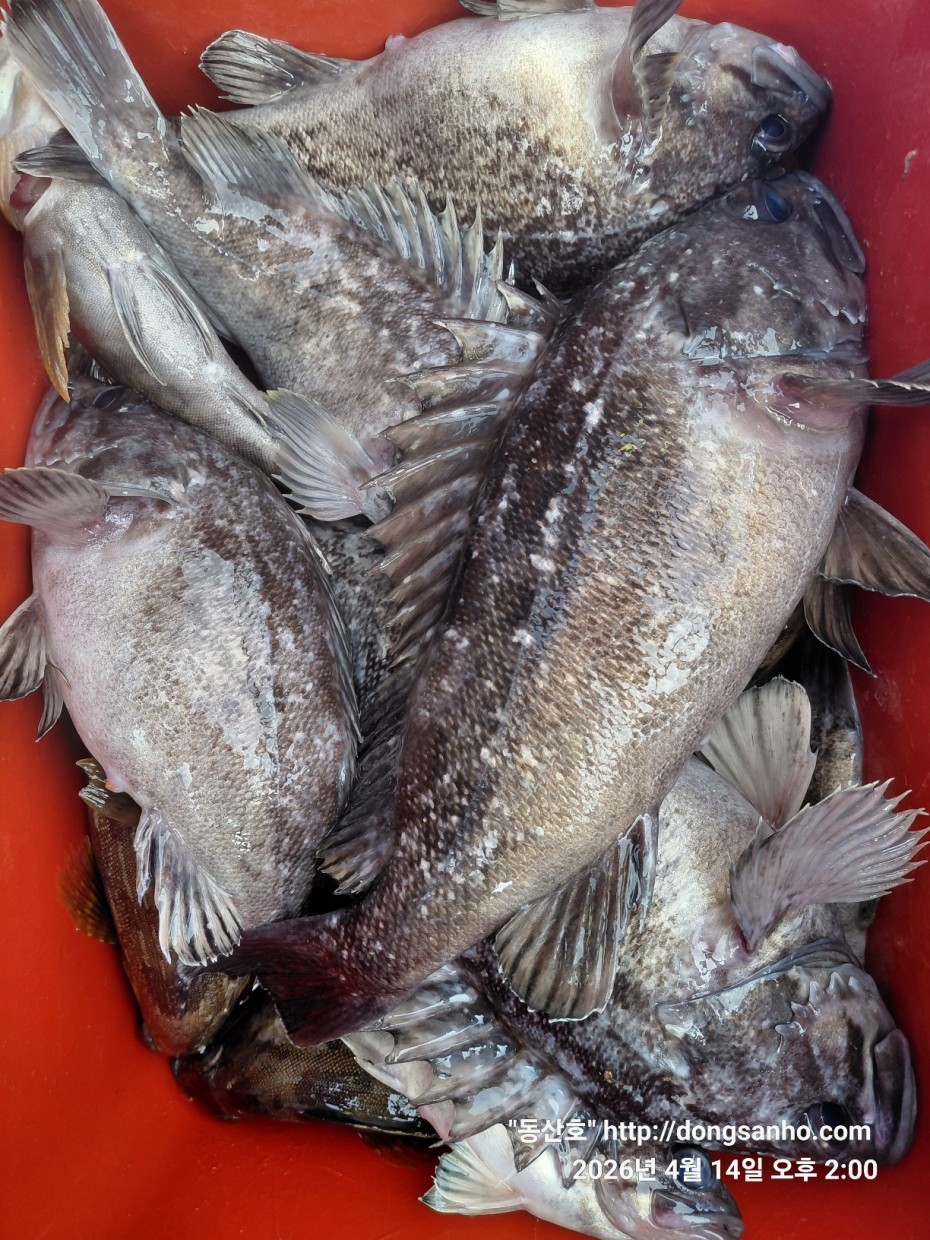 1fc0c478f22af6d4e5fb830470848fe2_1776756