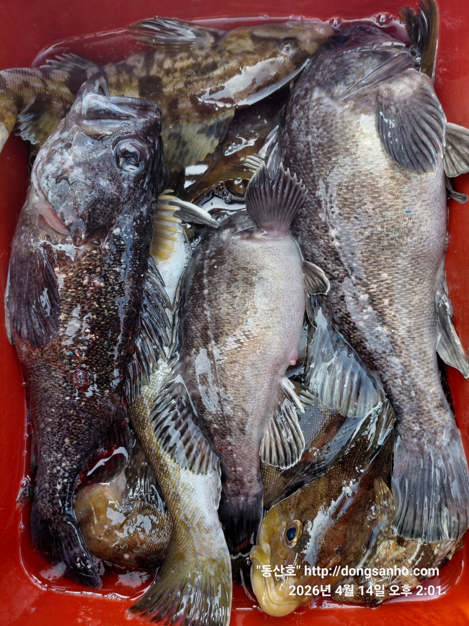 1fc0c478f22af6d4e5fb830470848fe2_1776756