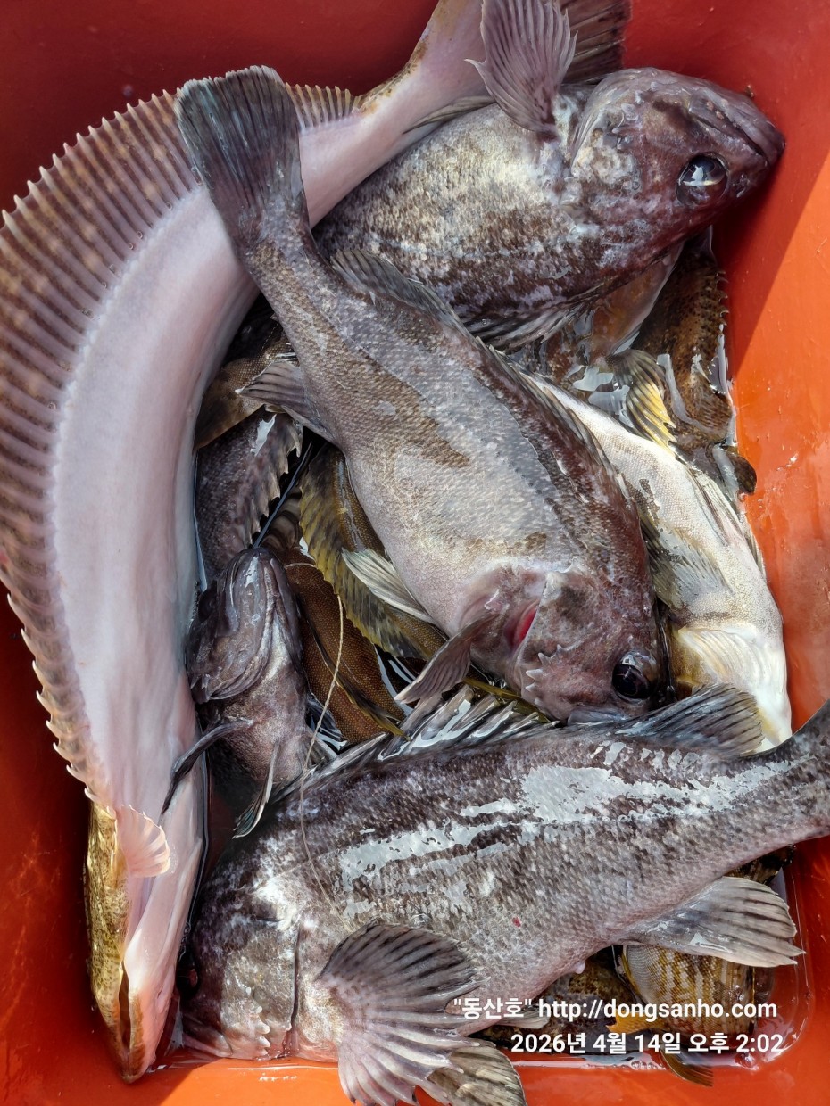 1fc0c478f22af6d4e5fb830470848fe2_1776756