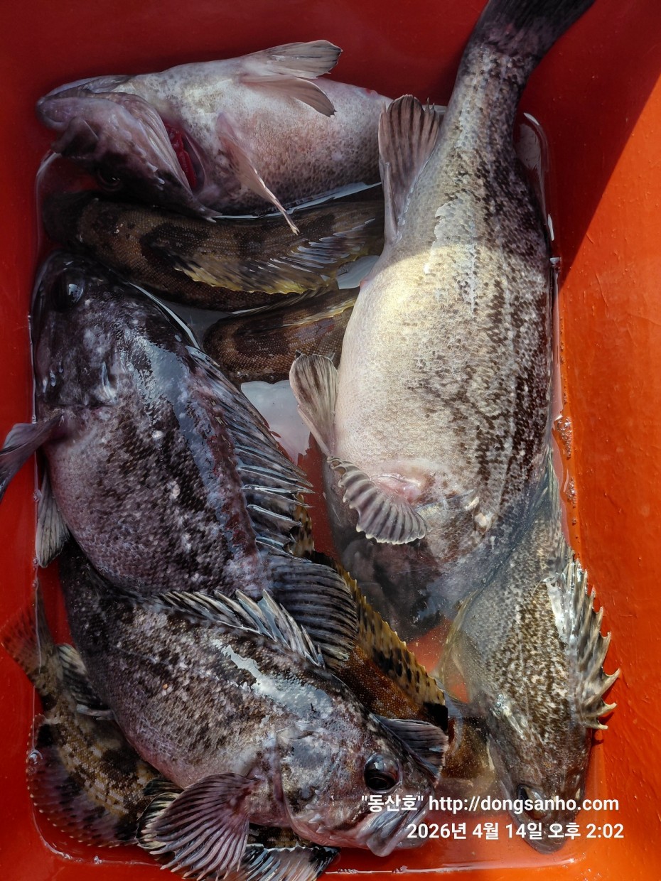 1fc0c478f22af6d4e5fb830470848fe2_1776756