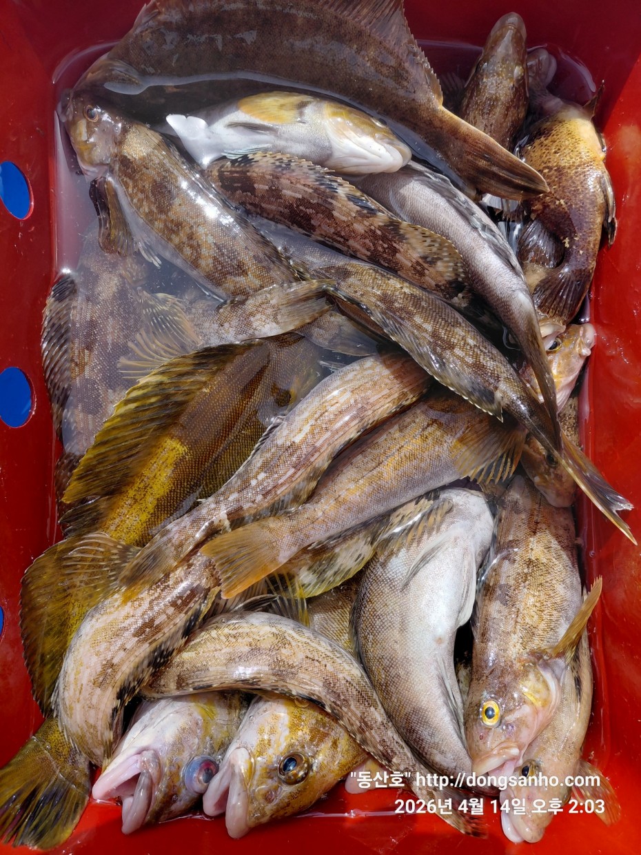 1fc0c478f22af6d4e5fb830470848fe2_1776756