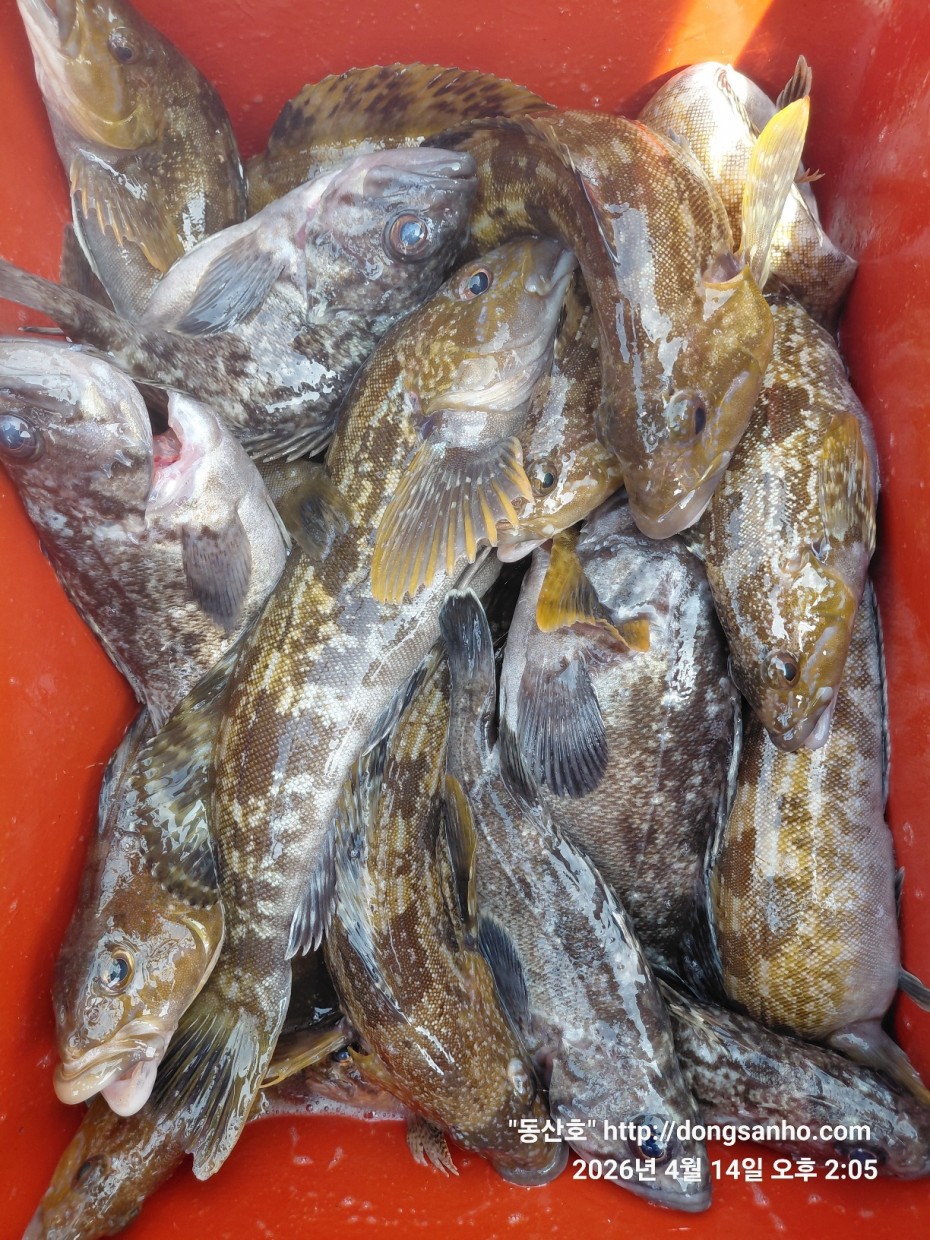 1fc0c478f22af6d4e5fb830470848fe2_1776756