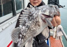 3/30 봄 우럭낚…