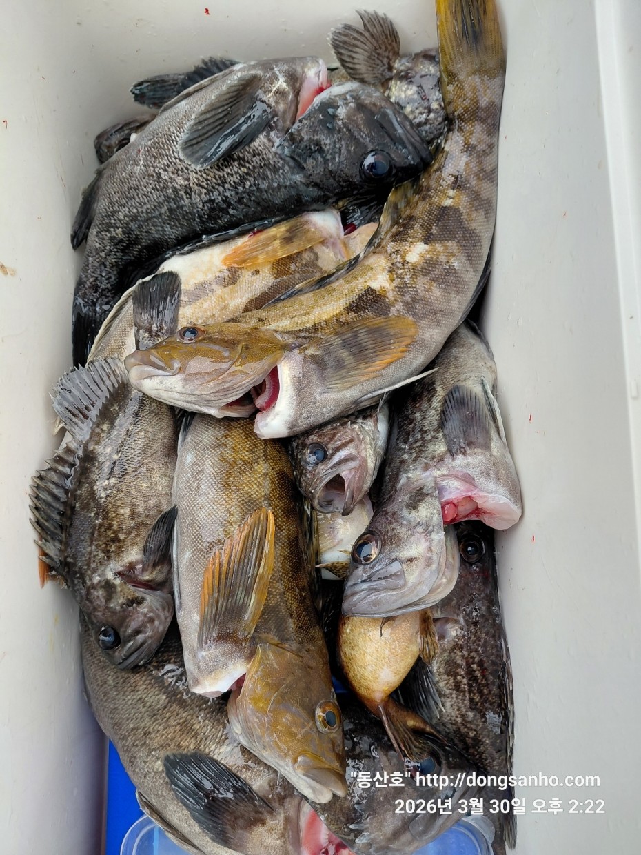 9c08d6fb01c348295dd68595fa57bd48_1774995