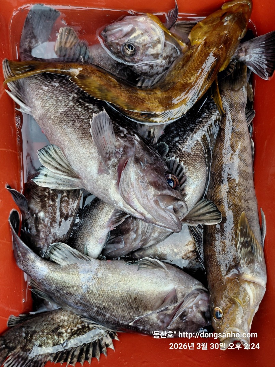 9c08d6fb01c348295dd68595fa57bd48_1774995