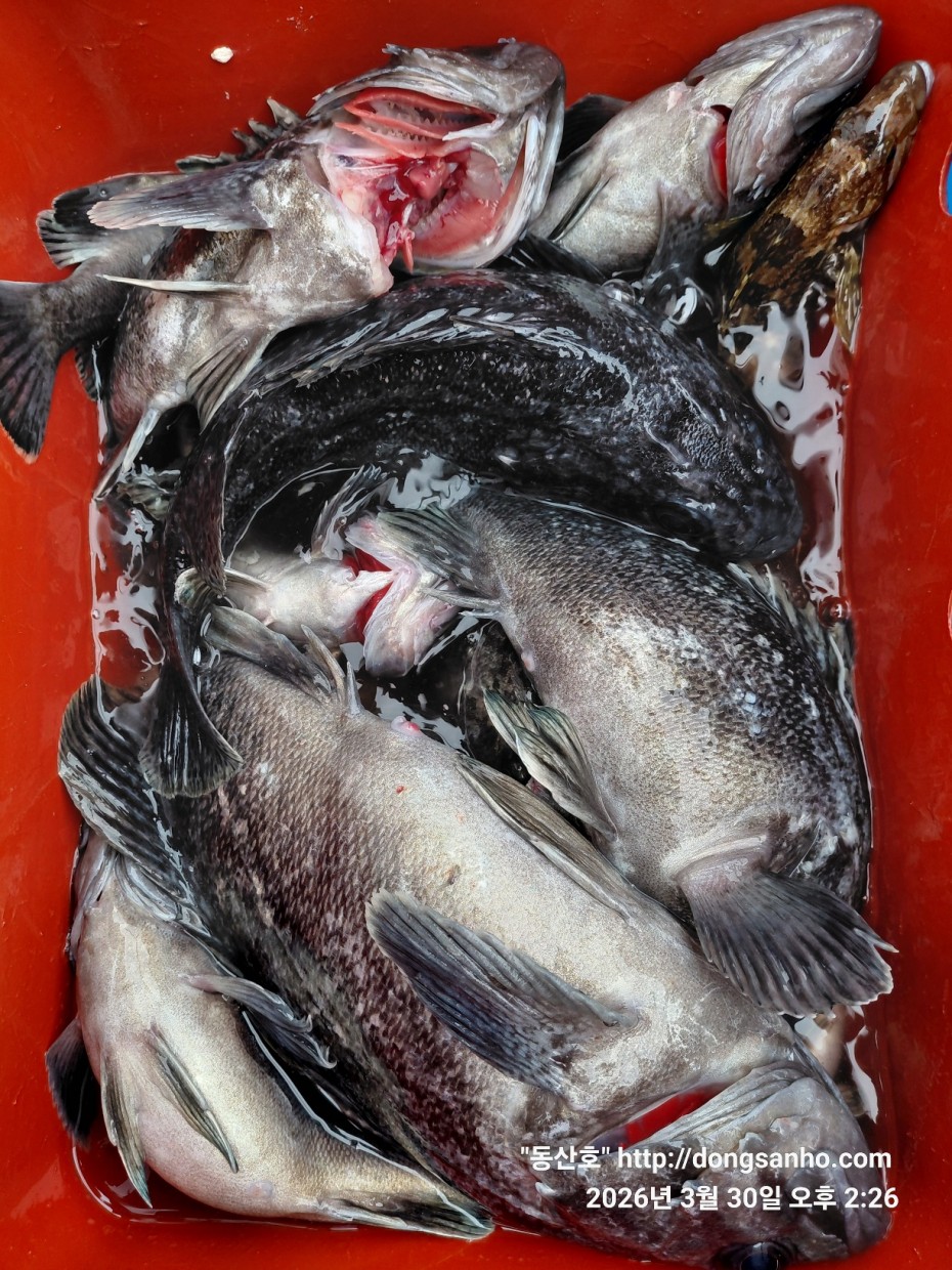 9c08d6fb01c348295dd68595fa57bd48_1774995