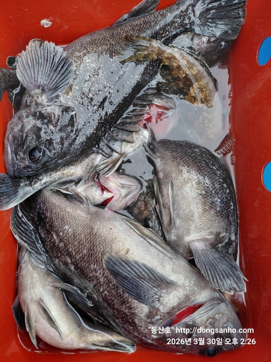 9c08d6fb01c348295dd68595fa57bd48_1774995