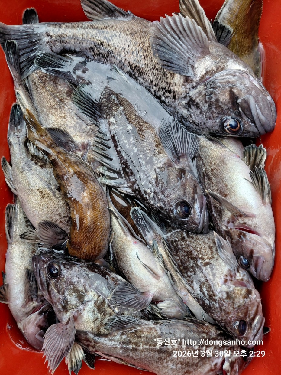 9c08d6fb01c348295dd68595fa57bd48_1774995