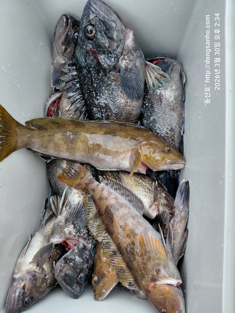 9c08d6fb01c348295dd68595fa57bd48_1774995