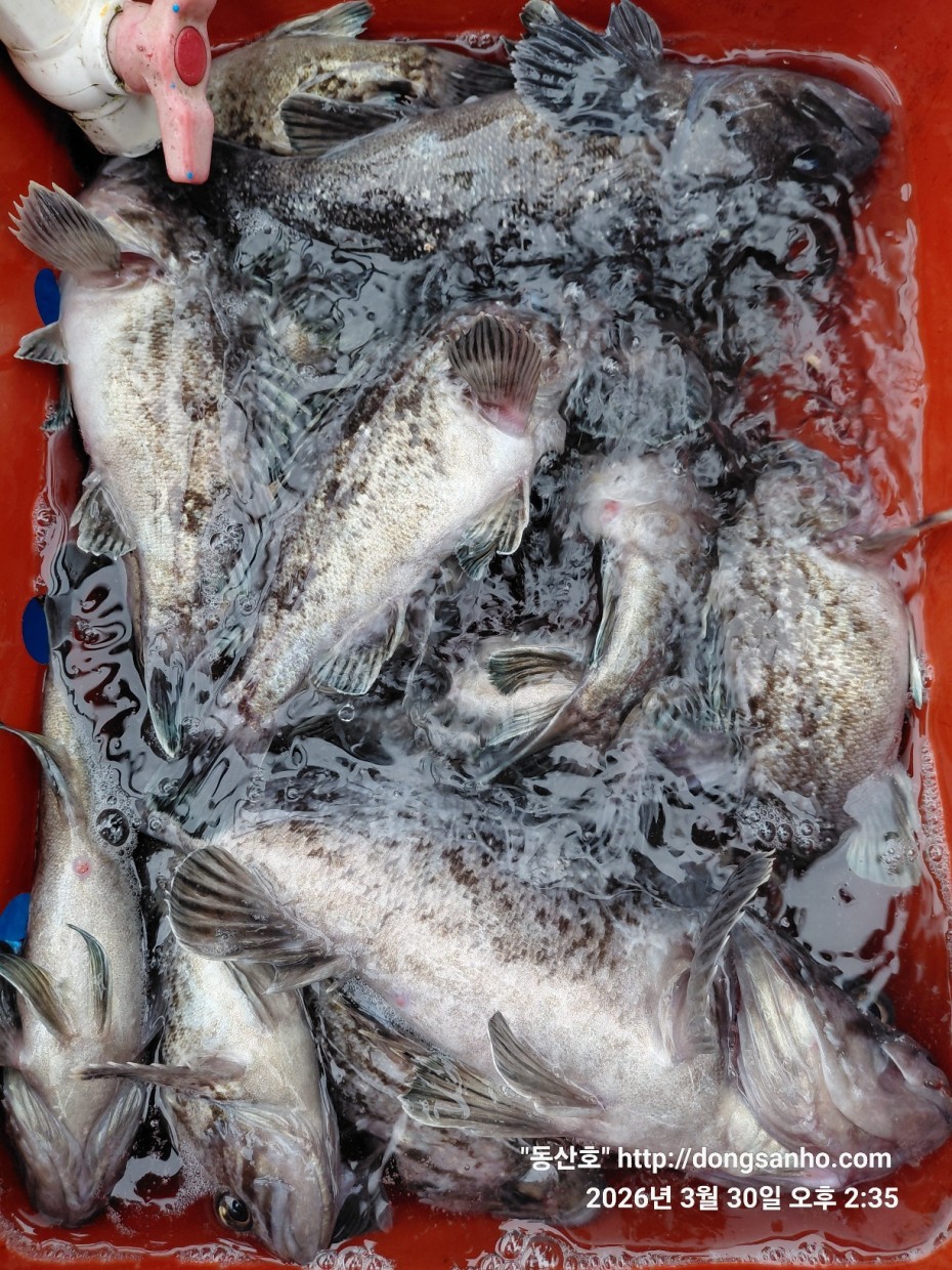 9c08d6fb01c348295dd68595fa57bd48_1774995