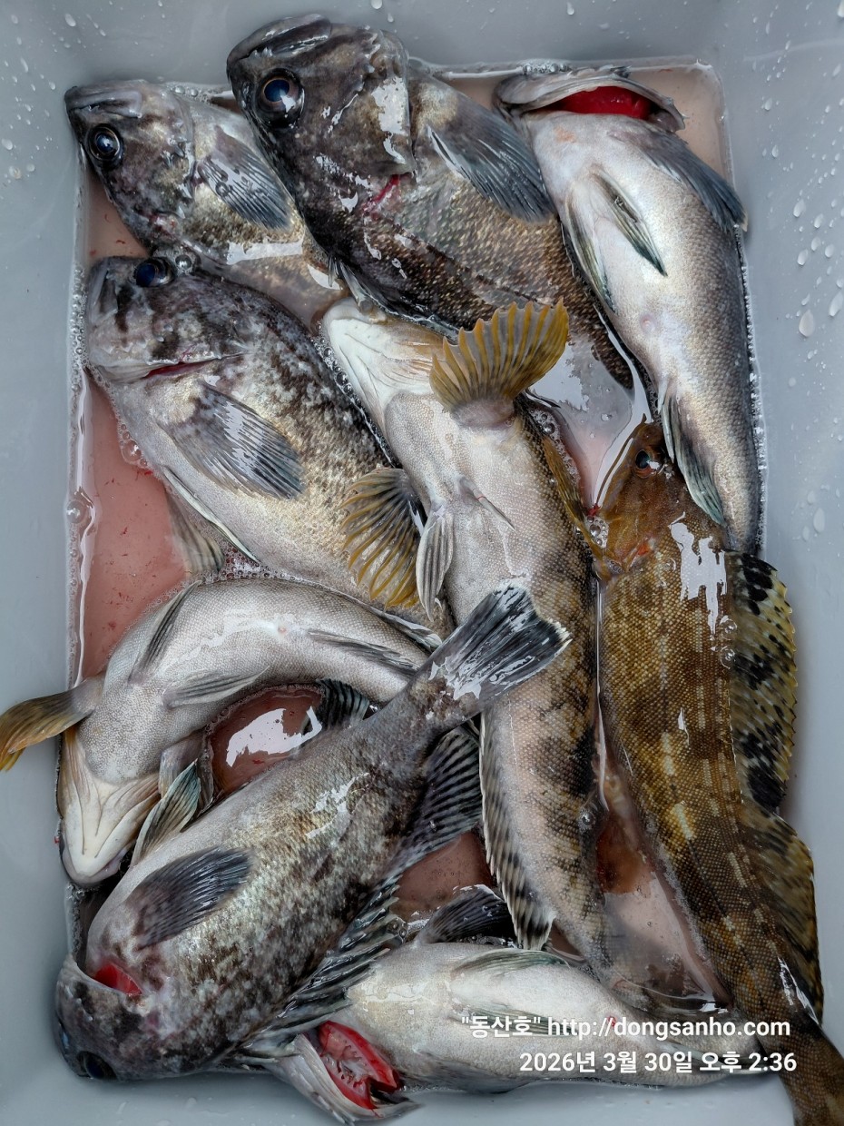 9c08d6fb01c348295dd68595fa57bd48_1774995