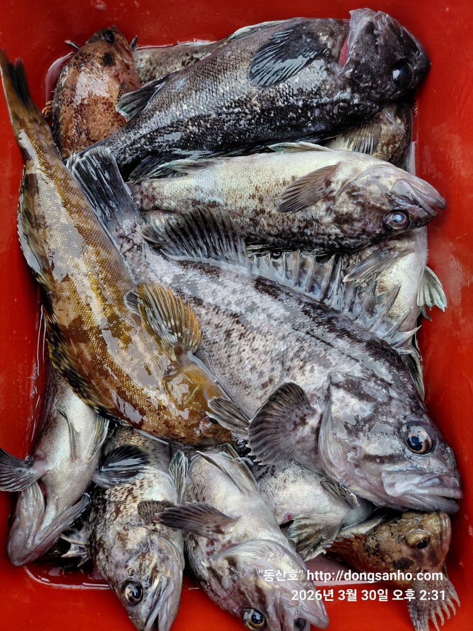 9c08d6fb01c348295dd68595fa57bd48_1774996