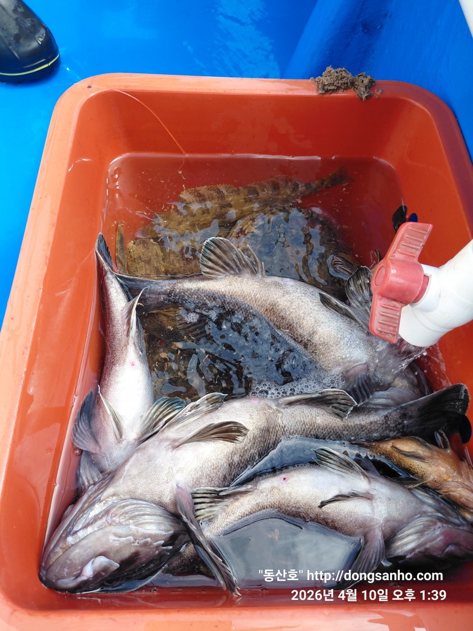 9d7e713432b27d331db71d9540179483_1776079