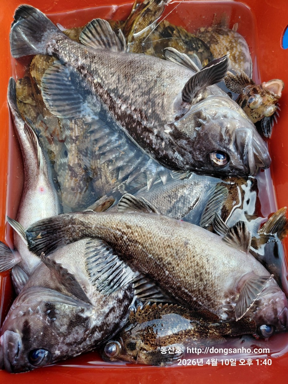 9d7e713432b27d331db71d9540179483_1776079