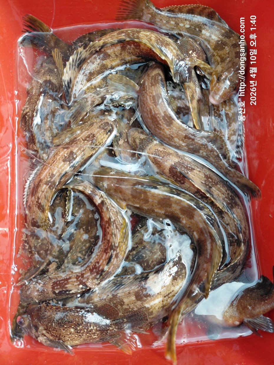 9d7e713432b27d331db71d9540179483_1776079