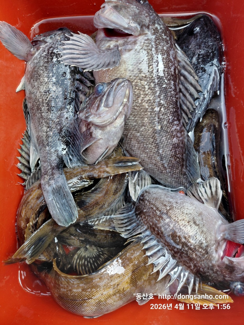 9d7e713432b27d331db71d9540179483_1776079