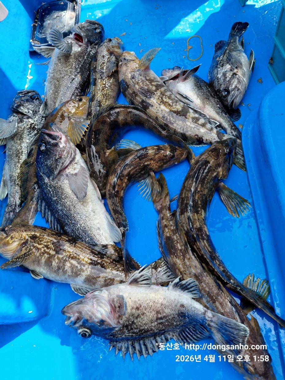 9d7e713432b27d331db71d9540179483_1776079