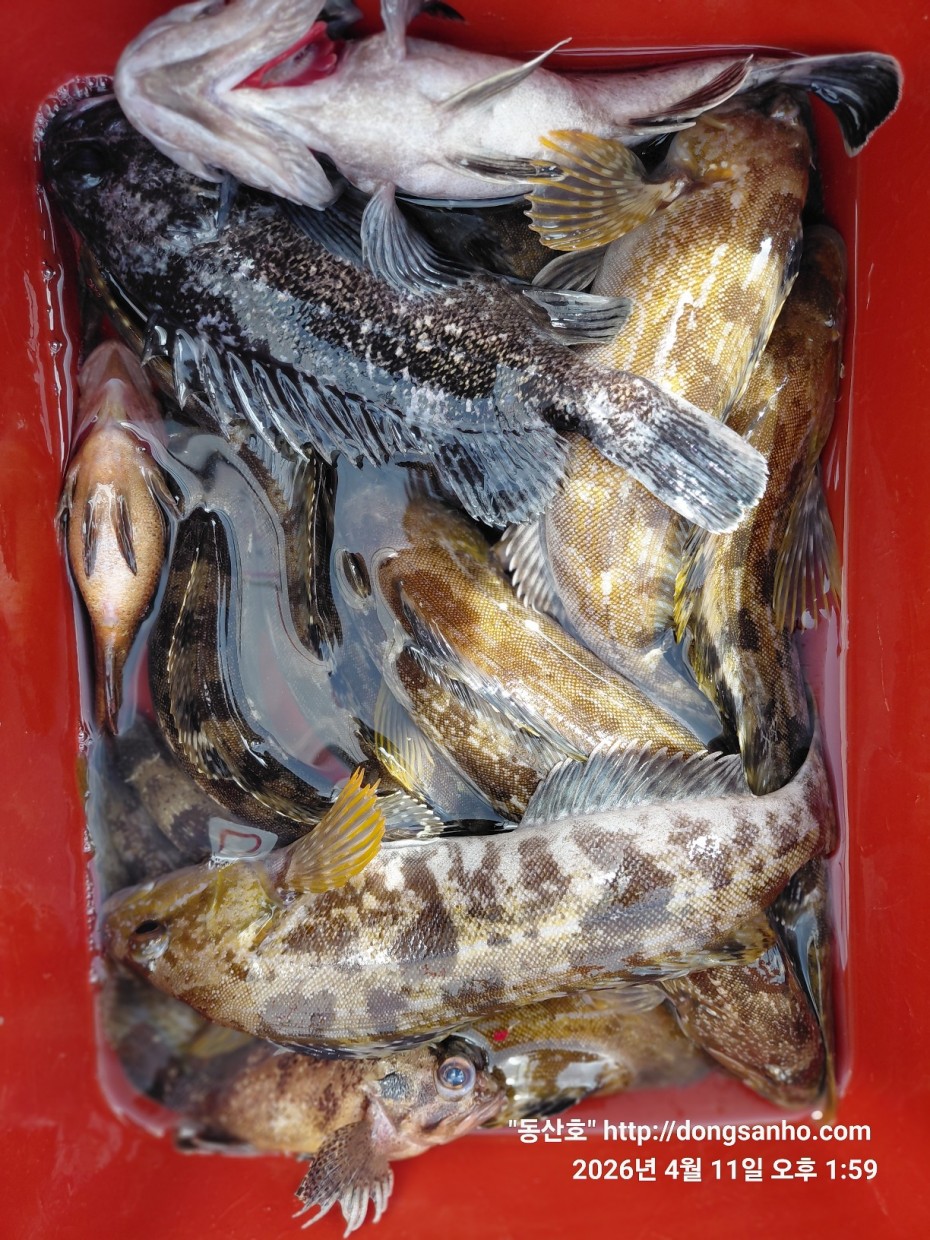 9d7e713432b27d331db71d9540179483_1776079