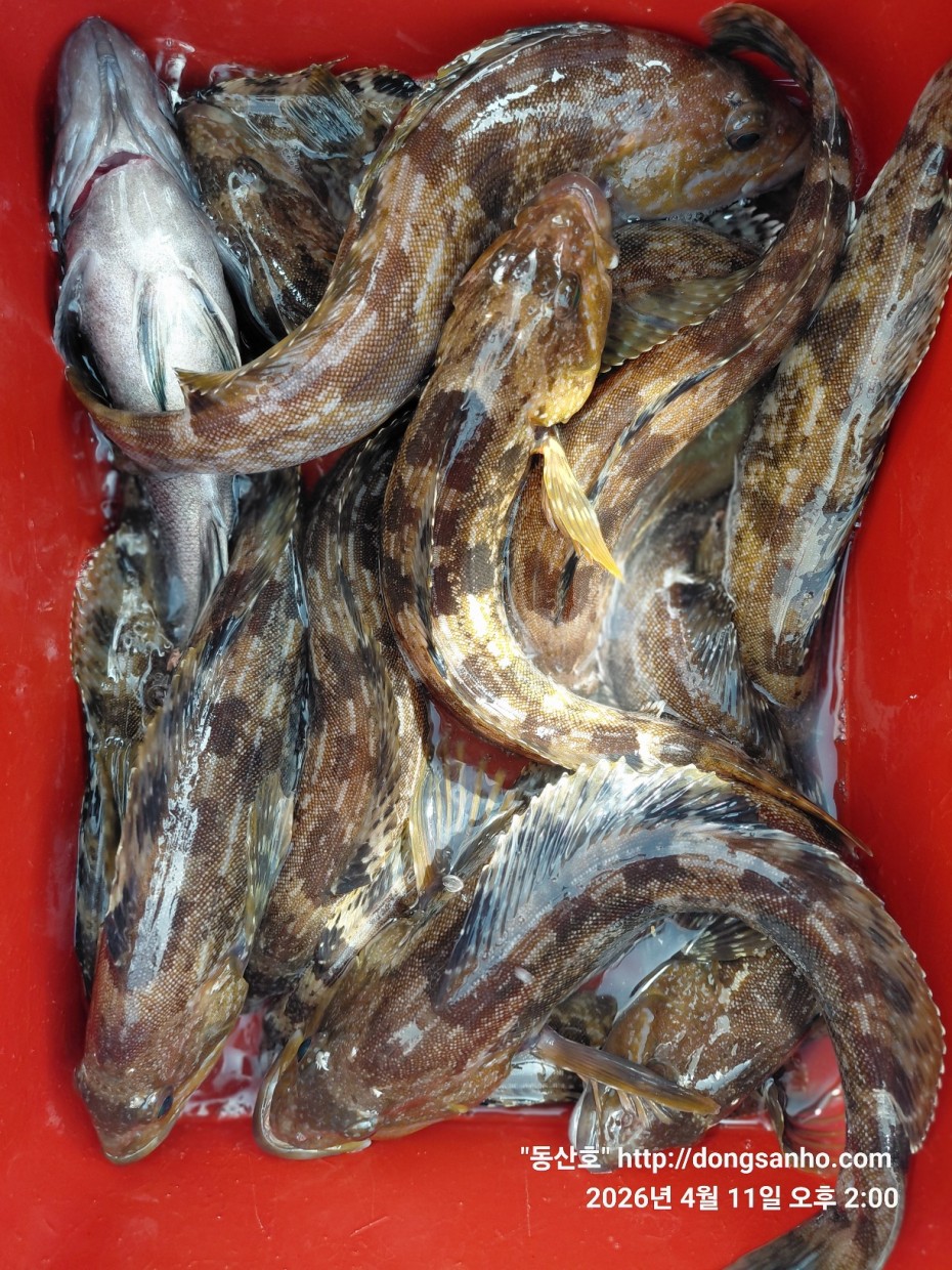 9d7e713432b27d331db71d9540179483_1776079