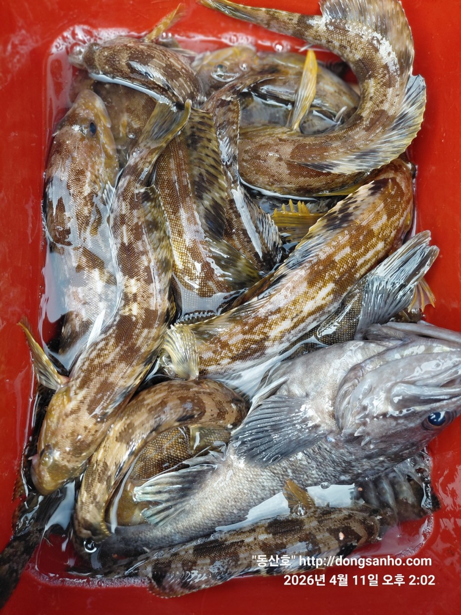 9d7e713432b27d331db71d9540179483_1776079