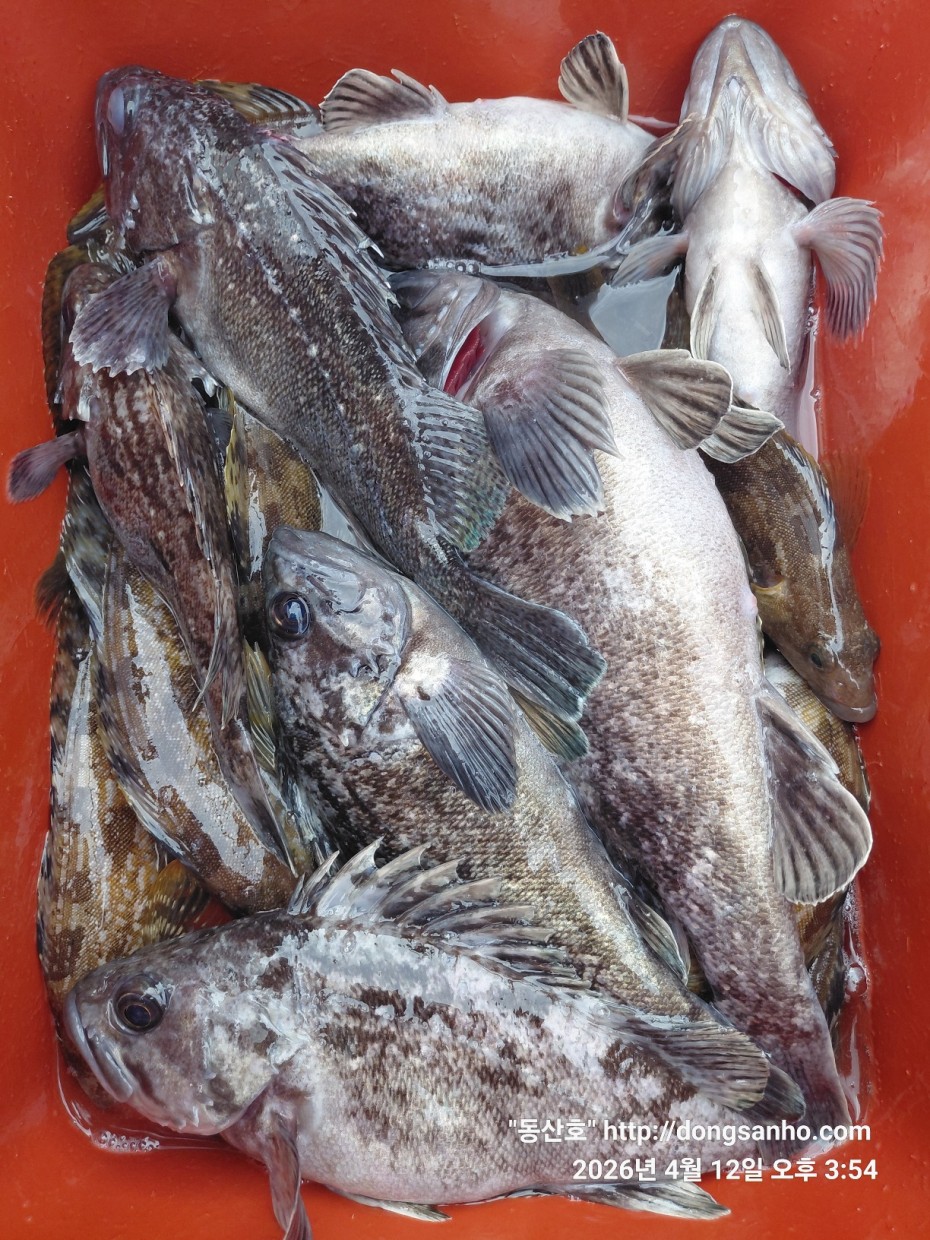 9d7e713432b27d331db71d9540179483_1776079