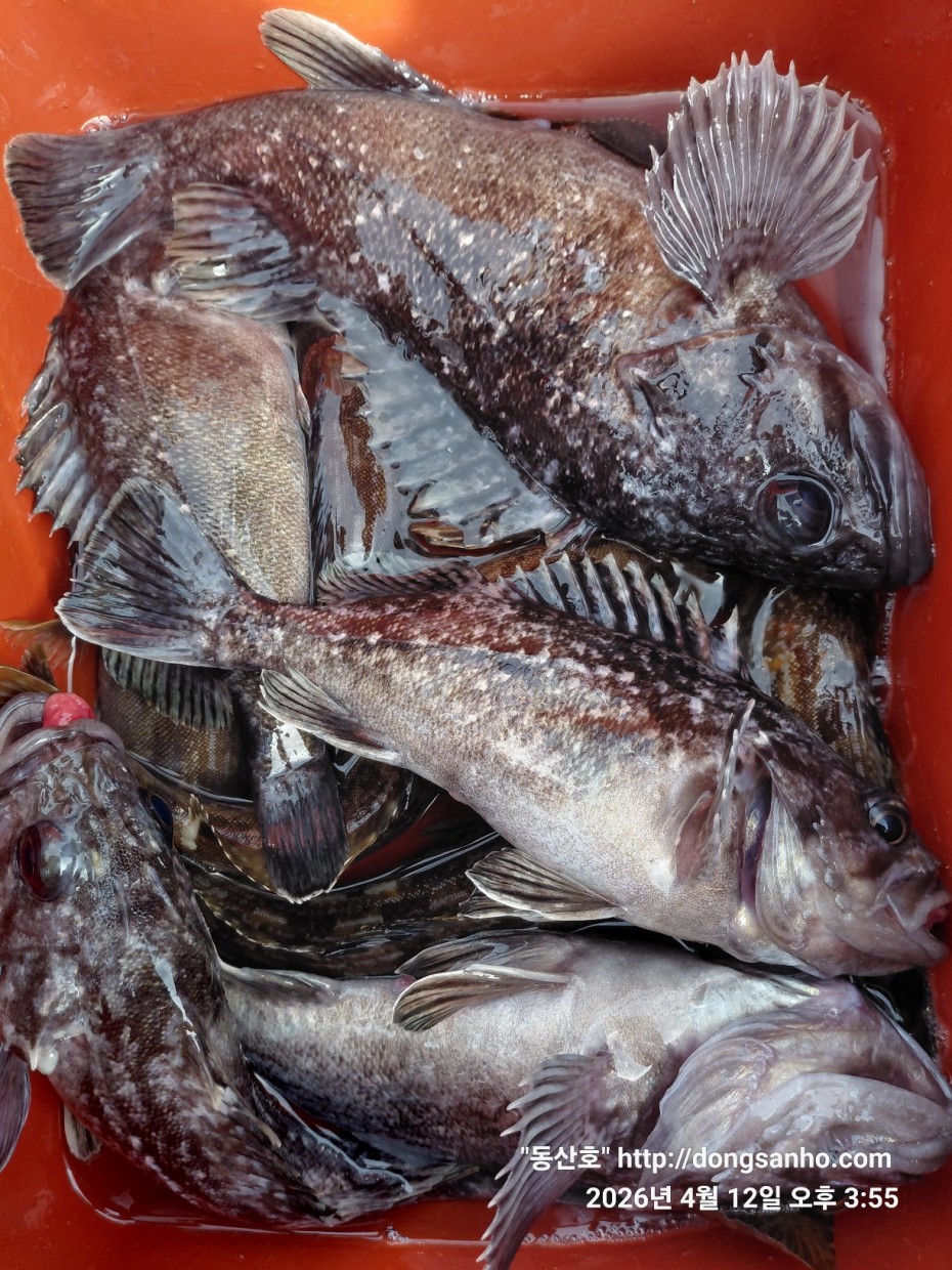 9d7e713432b27d331db71d9540179483_1776079