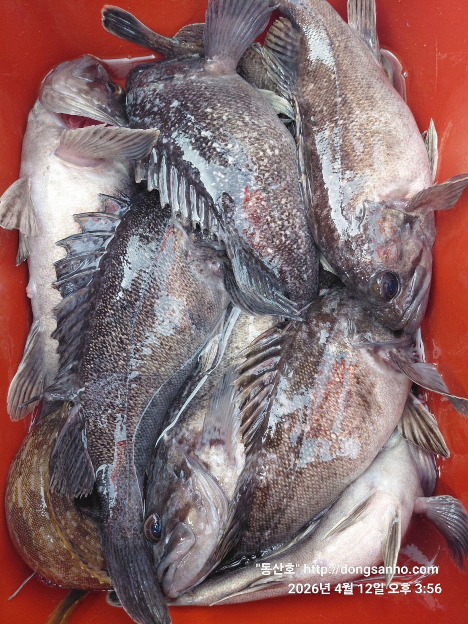 9d7e713432b27d331db71d9540179483_1776079