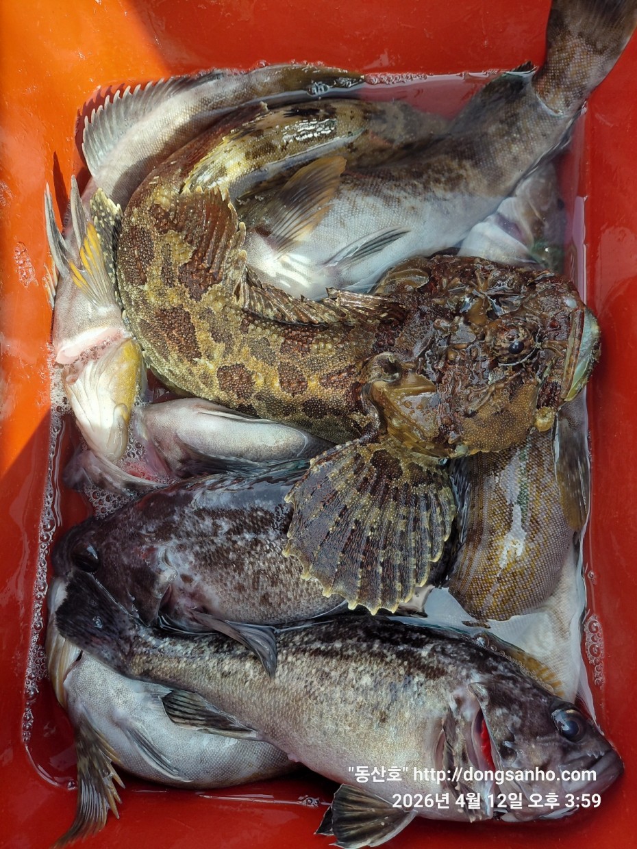 9d7e713432b27d331db71d9540179483_1776079