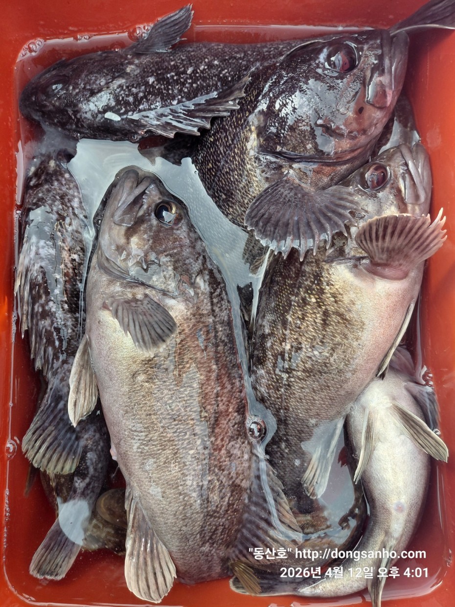 9d7e713432b27d331db71d9540179483_1776079