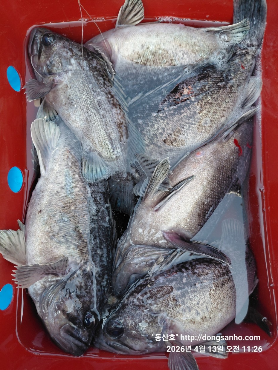 aaa58d6d907bf5bb990691ec471ba77e_1776183