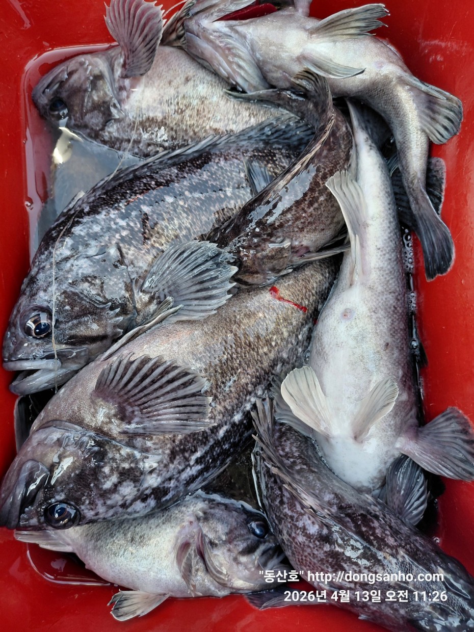 aaa58d6d907bf5bb990691ec471ba77e_1776183