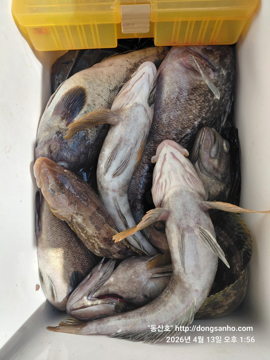 aaa58d6d907bf5bb990691ec471ba77e_1776183