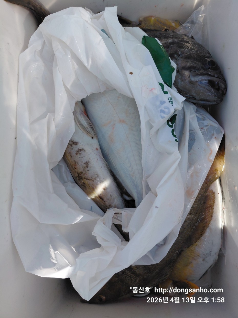 aaa58d6d907bf5bb990691ec471ba77e_1776183