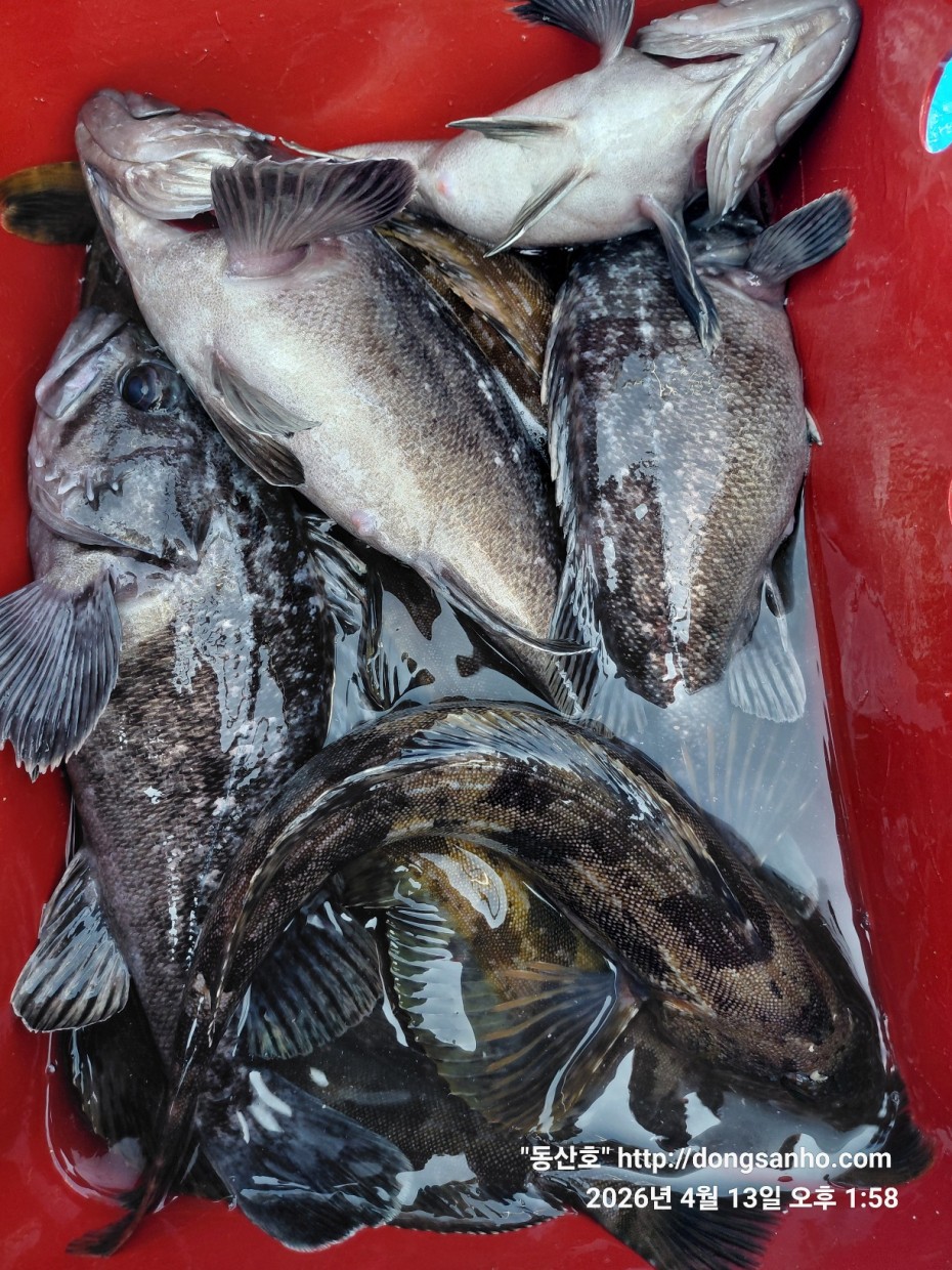 aaa58d6d907bf5bb990691ec471ba77e_1776183