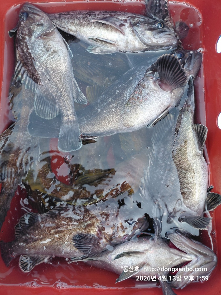 aaa58d6d907bf5bb990691ec471ba77e_1776183