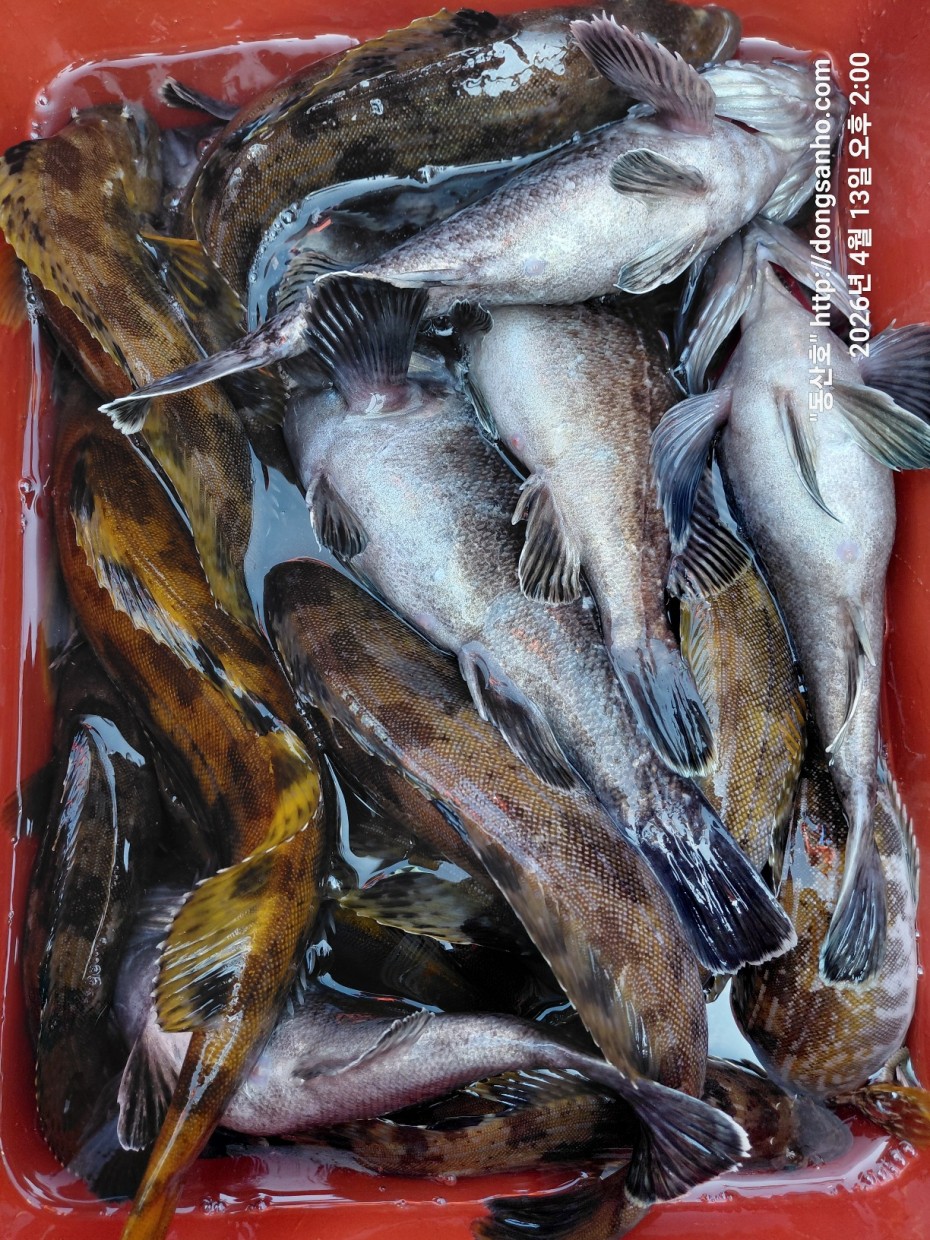 aaa58d6d907bf5bb990691ec471ba77e_1776183