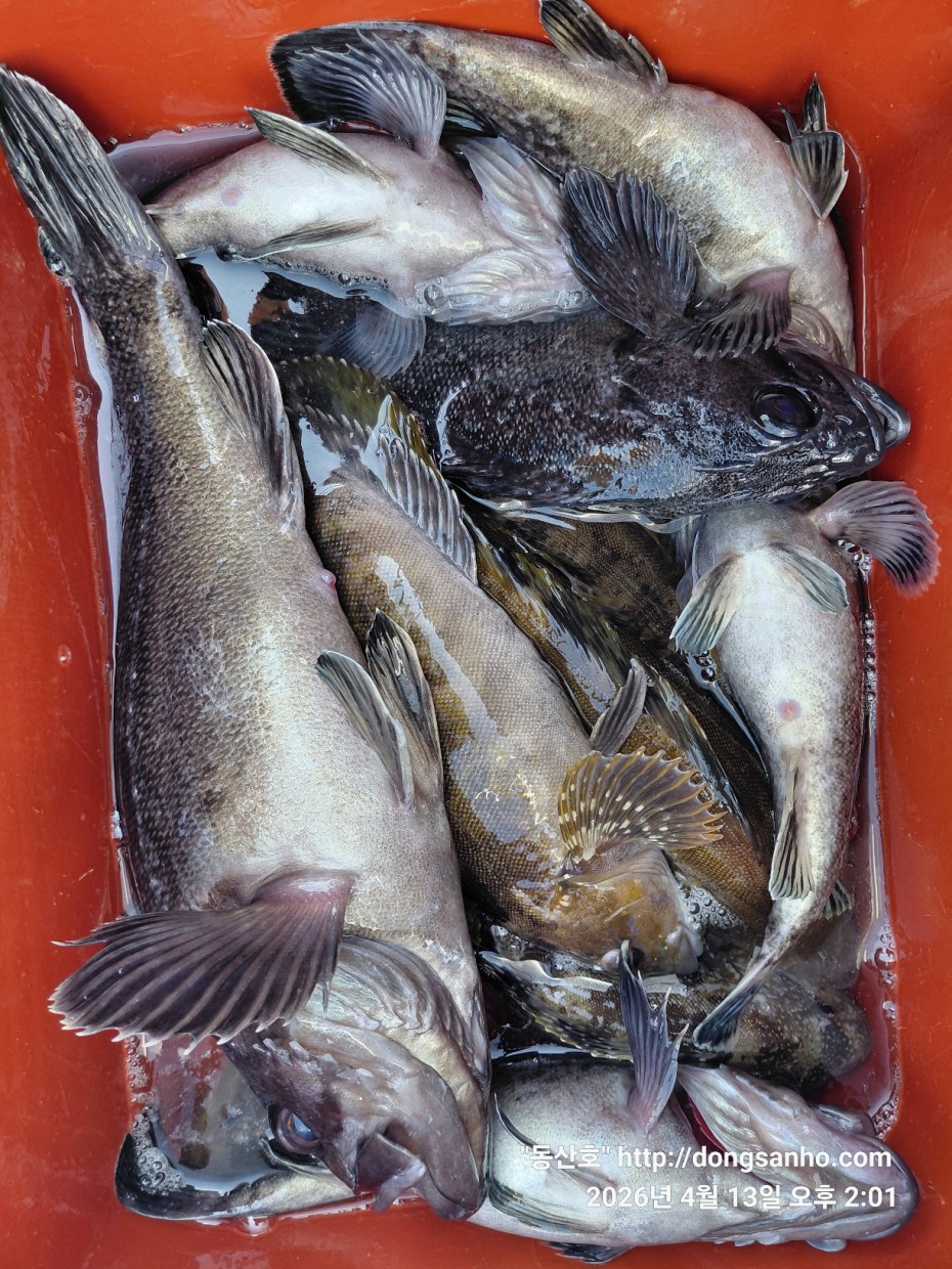 aaa58d6d907bf5bb990691ec471ba77e_1776183