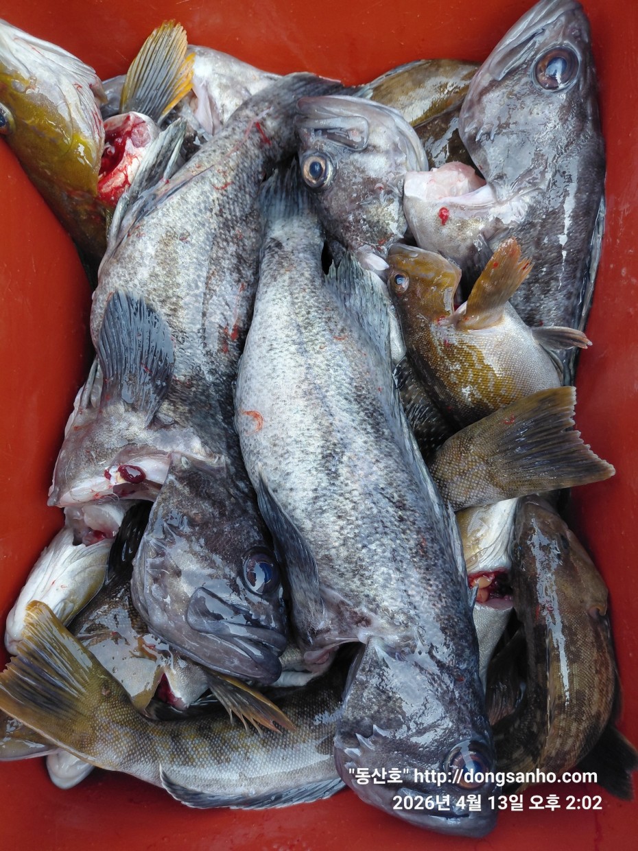 aaa58d6d907bf5bb990691ec471ba77e_1776183