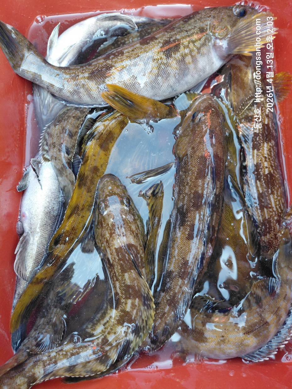 aaa58d6d907bf5bb990691ec471ba77e_1776183