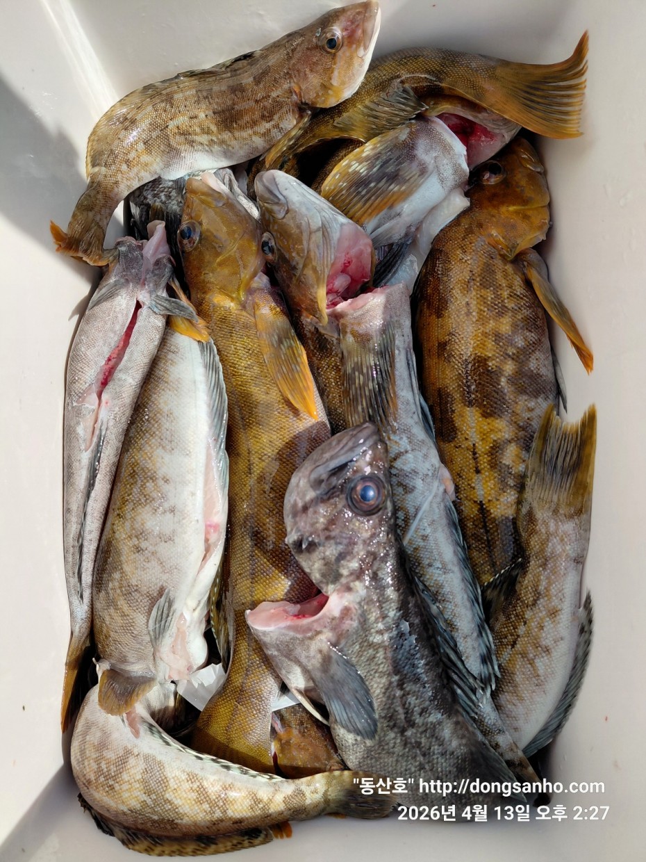 aaa58d6d907bf5bb990691ec471ba77e_1776183