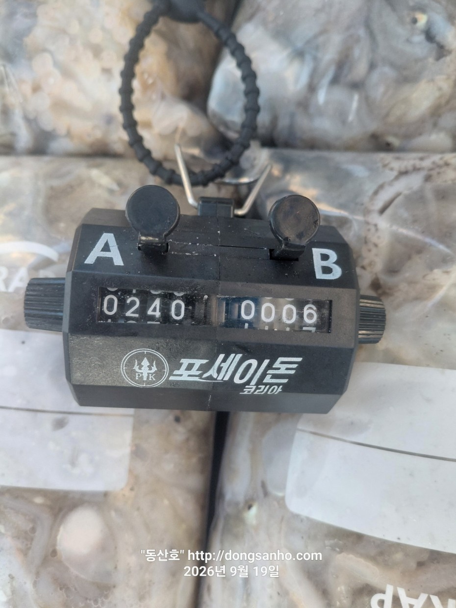 637cf01951dca388f091e3902ac2c83e_1789918