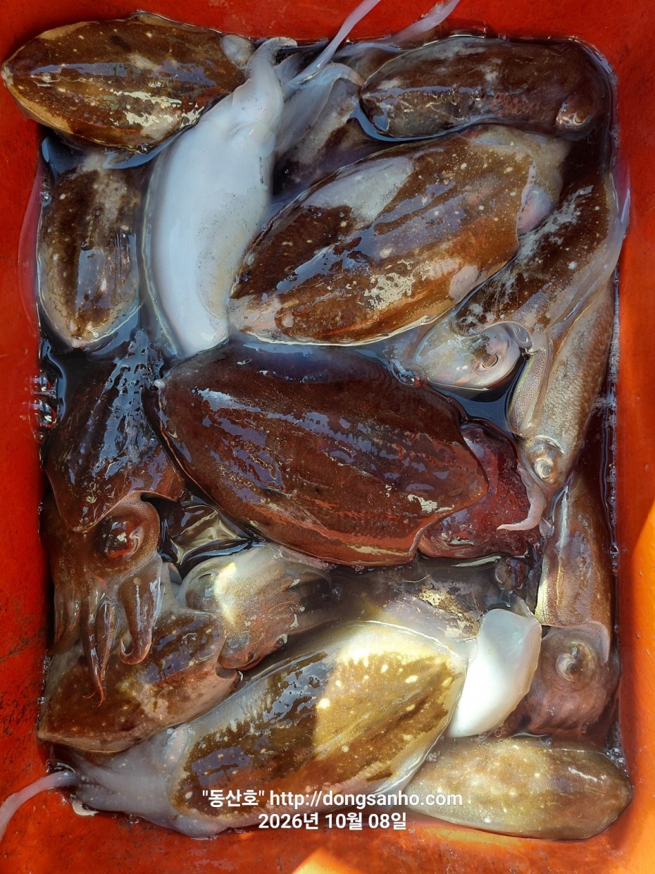 a8c503073216a7a5d8fd2b6a235b8d97_1791487